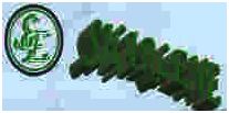 Trademark SHARLENE + LOGO