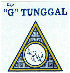 Trademark G TUNGGAL