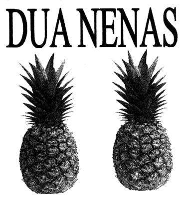 Trademark DUA NENAS