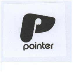 Trademark POINTER + LOGO P