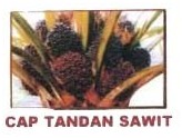 Trademark TANDAN SAWIT & LUKISAN