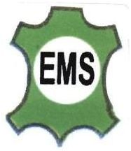 Trademark EMS