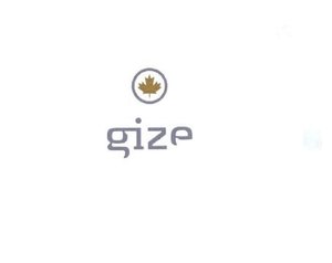 Trademark GIZE + LOGO