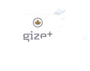 Trademark GIZE+ & LOGO