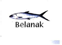 Trademark BELANAK + LUKISAN IKAN BELANAK