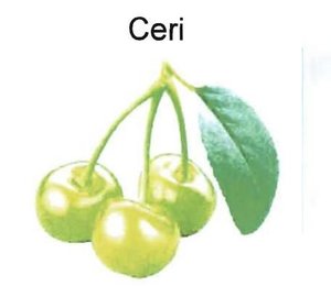 Trademark CERI + LUKISAN BUAH CHERRY