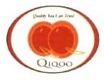 Trademark QIQOO + LOGO