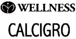 Trademark WELLNESS CALCIGRO