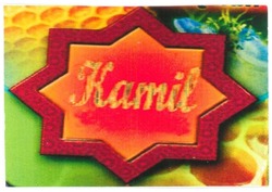 Trademark KAMIL + LOGO