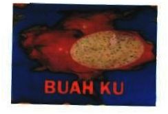 Trademark BUAH KU + LUKISAN