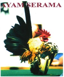 Trademark AYAM SERAMA