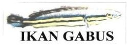 Trademark IKAN GABUS + LUKISAN