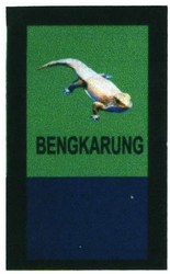 Trademark BENGKARUNG