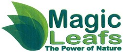 Trademark MAGIC LEAFS + LOGO