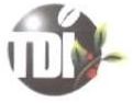 Trademark TDI + LOGO