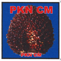 Trademark PKN CM + LUKISAN