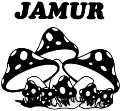 Trademark JAMUR + LOGO