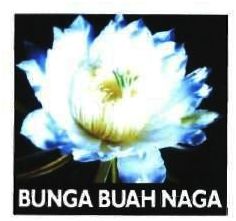 Trademark BUNGA BUAH NAGA