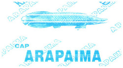 Trademark ARAPAIMA + LUKISAN