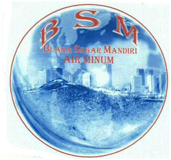 Trademark BSM