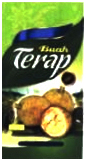 Trademark BUAH TERAP & LUKISAN