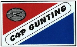 Trademark CAP GUNTING + LUKISAN GUNTING