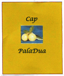 Trademark CAP PALADUA + LOGO