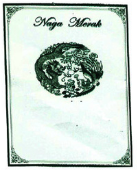 Trademark NAGA MERAK+LOGO