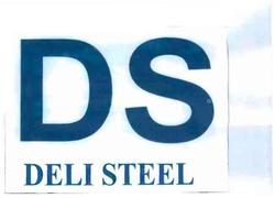 Trademark DS DELI STEEL