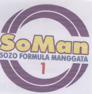 Trademark SOMAN + LOGO