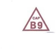 Trademark CAP 89