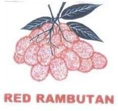 Trademark RED RAMBUTAN + LUKISAN