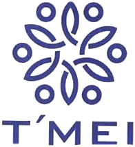 Trademark T MEI + LOGO