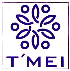 Trademark T MEI + LOGO