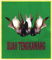 Trademark BUAH TENGKAWANG + LUK