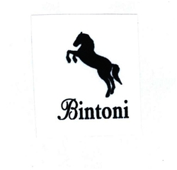 Trademark BINTONI + LOGO KUDA