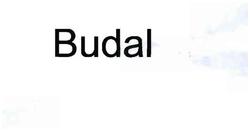 Trademark BUDAL