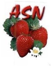 Trademark ASN + LUKISAN STRAWBERRY