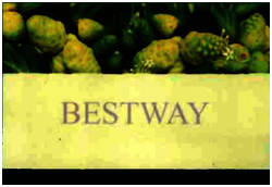 Trademark BESTWAY + LUKISAN BUAH MENGKUDU