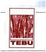 Trademark TEBU + LUK