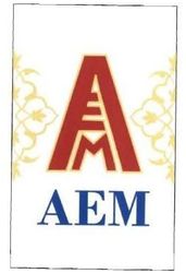 Trademark AEM + LOGO A