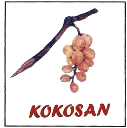 Trademark KOKOSAN + LUKISAN