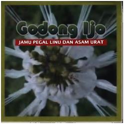 Trademark GODONG IJO + LUKISAN