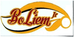 Trademark BOLIEM