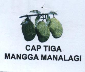 Trademark CAP TIGA MANGGA MANALAGI + GAMBAR