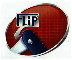 Trademark LOGO ICON FORMULA PLATINUM PROTECTOR FLIP