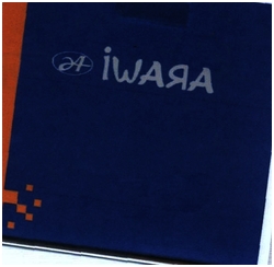 Trademark IWARA + LOGO