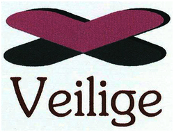 Trademark VEILIGE + logo x