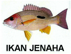 Trademark IKAN JENAHA