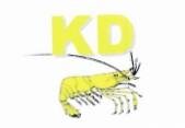 Trademark KD + LOGO